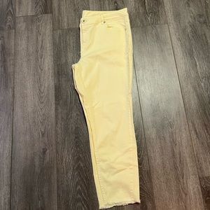 Maurices Yellow Jeans (18)